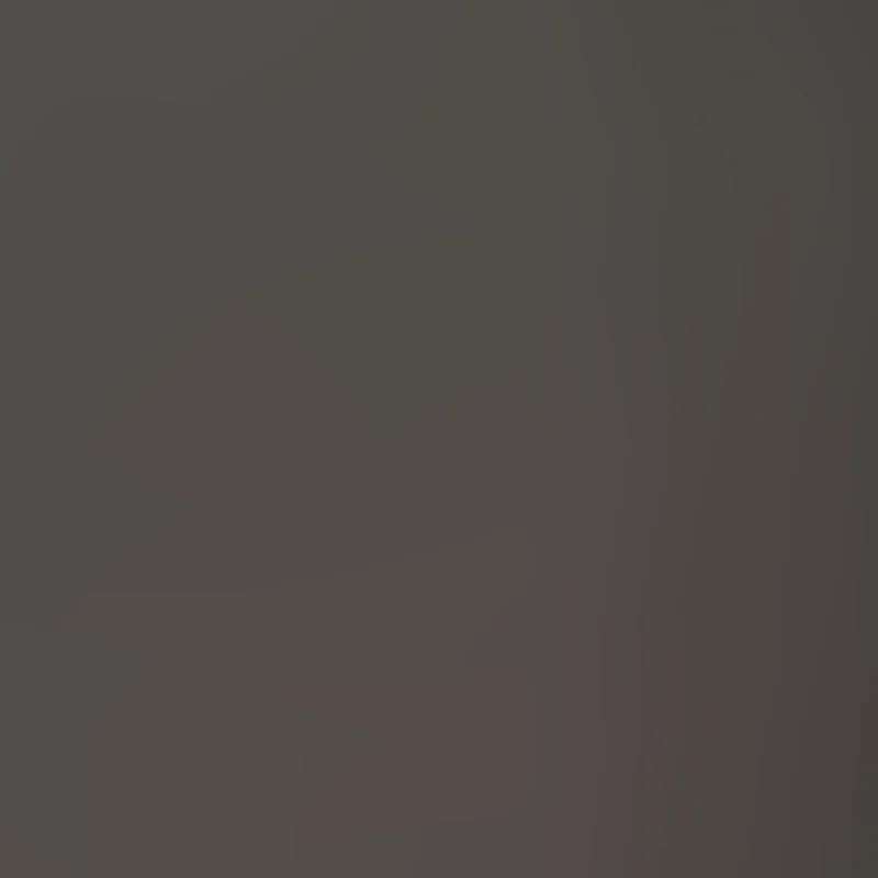 Pnl Acoust. FLEX. - PWoods